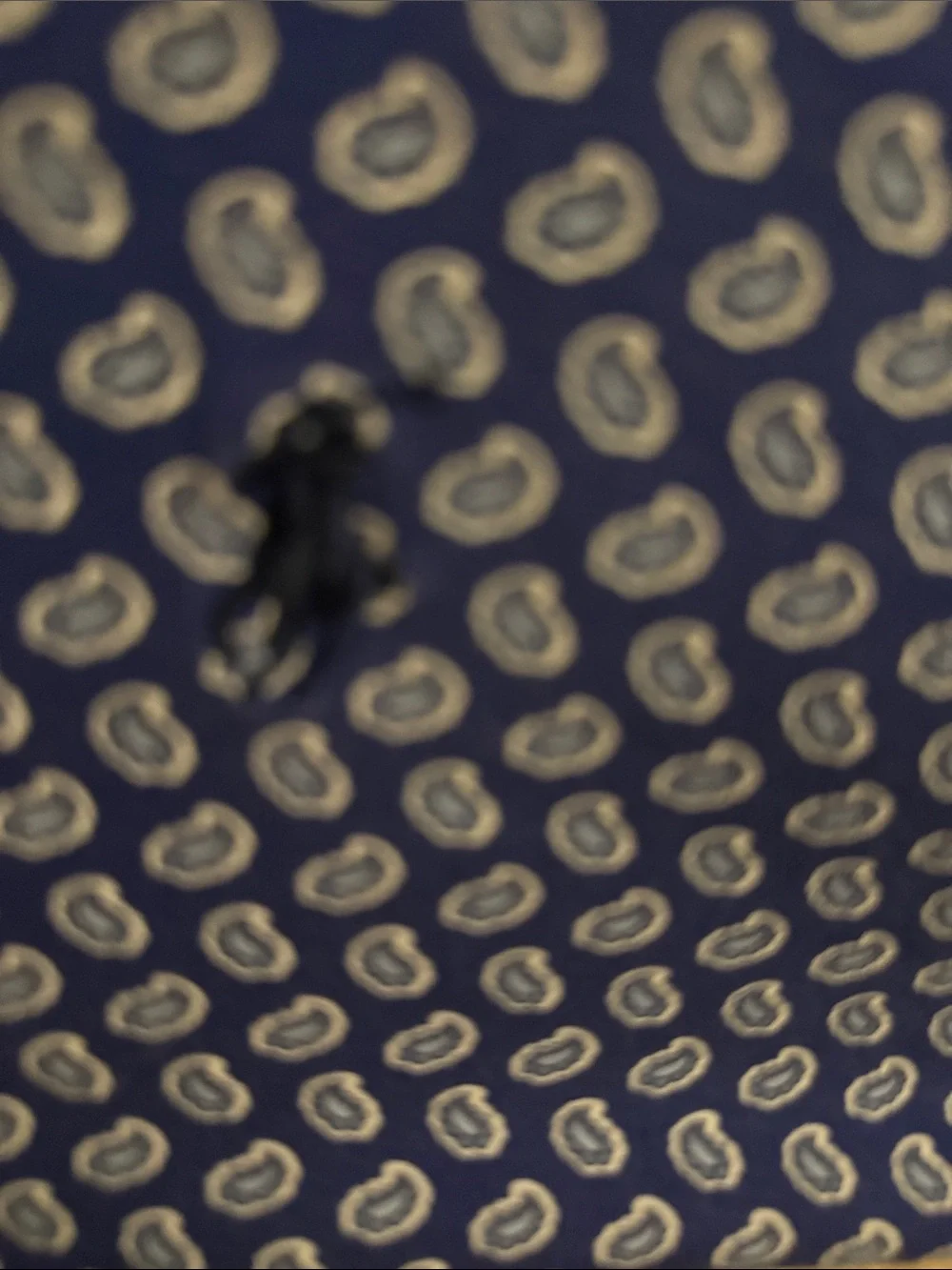Polo by Ralph Lauren Navy Blue Paisley Print Polo